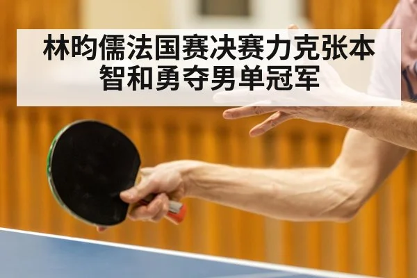 林昀儒法国赛决赛力克张本智和勇夺男单冠军