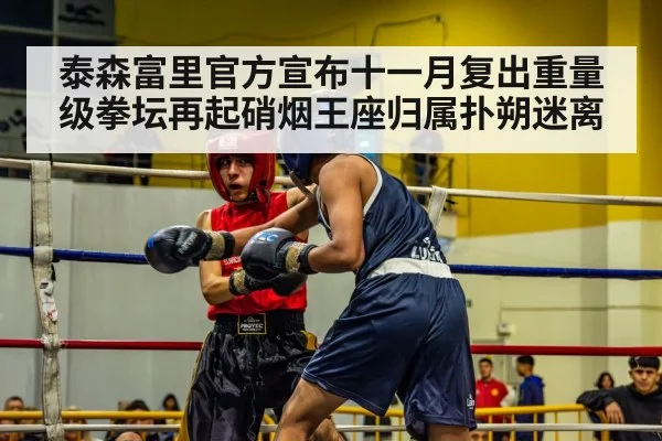 泰森富里官方宣布十一月复出重量级拳坛再起硝烟王座归属扑朔迷离